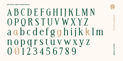 MN Triplay Serif Font Poster 7