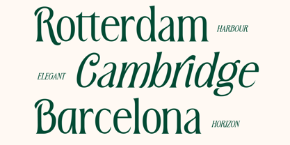 MN Triplay Serif Font Poster 4