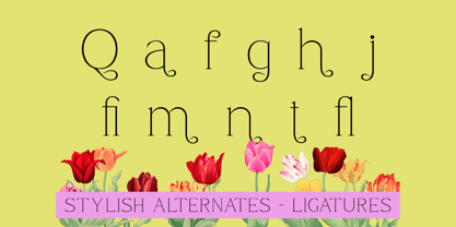 Qamora Font Poster 10