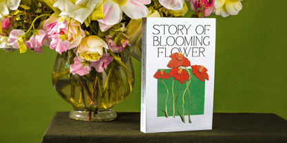 Qamora Font Poster 7