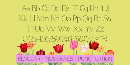 Qamora Font Poster 9