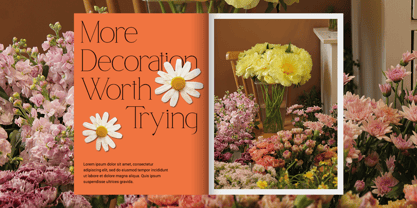 Qamora Font Poster 6