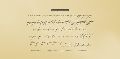 Palmintte Font Poster 12