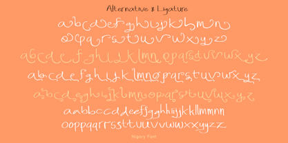 Nigory Font Poster 9