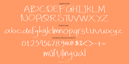 Nigory Font Poster 6