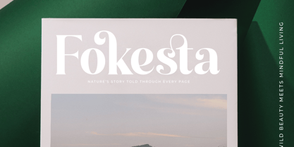 Kindles Swifter Font Poster 11