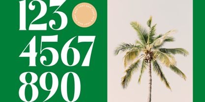 Kindles Swifter Font Poster 12