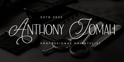 Goldshow Font Poster 8