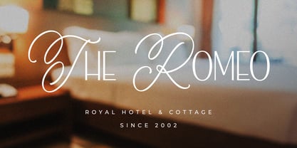 Goldshow Font Poster 7