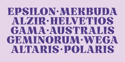 Vivala Brush Font Poster 4