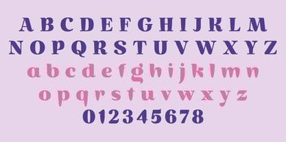 Vivala Brush Font Poster 6