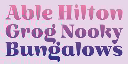 Vivala Brush Font Poster 2