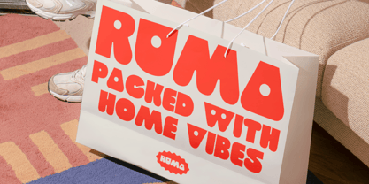 403 Cusion Font Poster 12