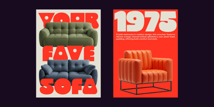 403 Cusion Font Poster 13