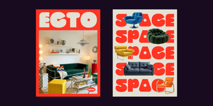 403 Cusion Font Poster 11