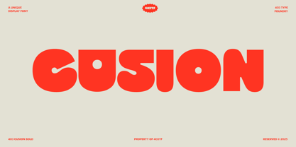 403 Cusion Font Poster 1