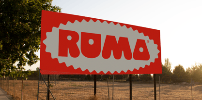 403 Cusion Font Poster 14