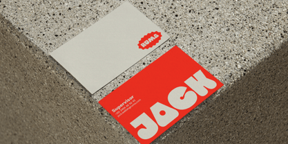 403 Cusion Font Poster 15