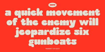 403 Cusion Font Poster 3