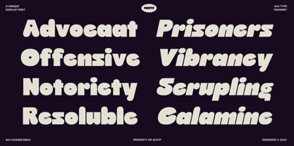 403 Cusion Font Poster 8