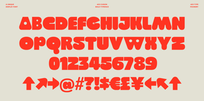 403 Cusion Font Poster 6