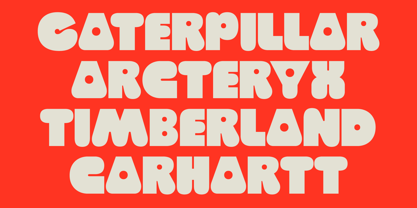 403 Cusion Font Poster 5