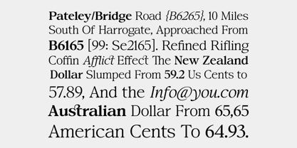 Confirm Serif Font Poster 3