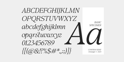 Confirm Serif Font Poster 13