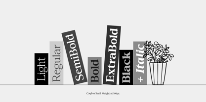 Confirm Serif Font Poster 2