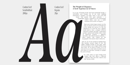 Confirm Serif Font Poster 6