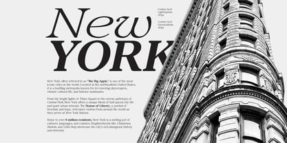 Confirm Serif Font Poster 5