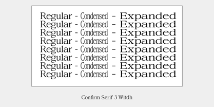 Confirm Serif Font Poster 4