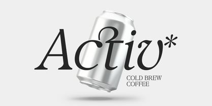 Confirm Serif Font Poster 10