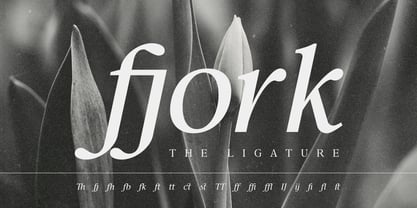 Confirm Serif Font Poster 8