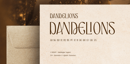 Nestfulo Font Poster 9