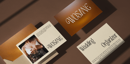 Nestfulo Font Poster 4