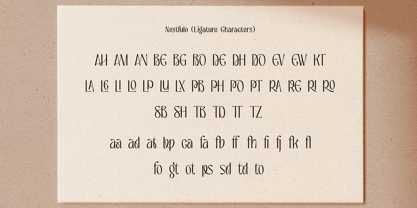 Nestfulo Font Poster 14