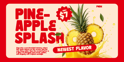 Snack Break Font Poster 2