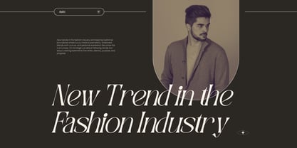 Gavona Elegant Font Poster 4