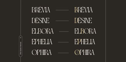 Gavona Elegant Font Poster 15