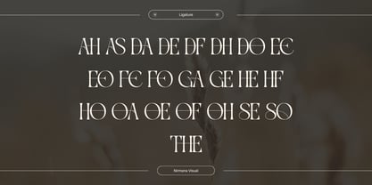 Gavona Elegant Font Poster 9