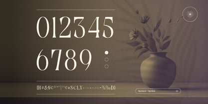 Gavona Elegant Font Poster 6