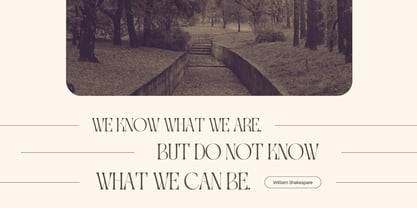 Gavona Elegant Font Poster 2