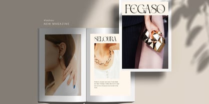 Gavona Elegant Font Poster 12