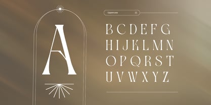 Gavona Elegant Font Poster 3