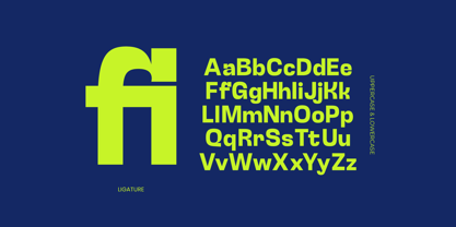 Qalzo Font Poster 11