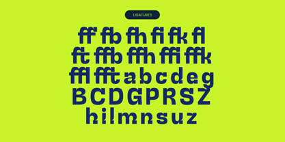 Qalzo Font Poster 14