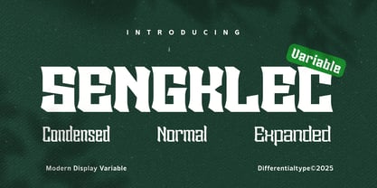 Sengklec Variable Font Poster 1