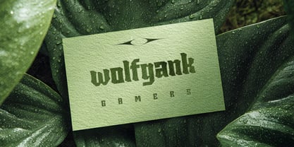 Sengklec Variable Font Poster 9