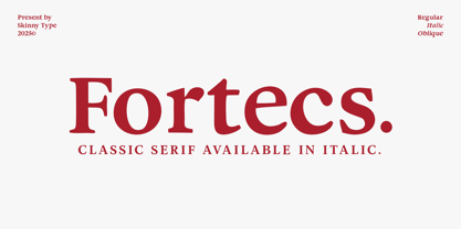 Fortecs Font Poster 1